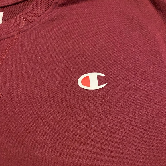 Champion - Big & Tall Crewneck Sweater (Worn) - Picture 4 of 7